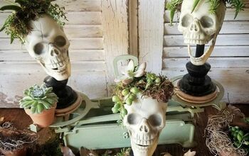Succulent Skulls