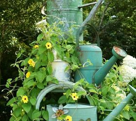 how to grow flowering vines in your garden 18 ideas, 1 Use a Ladder as a Garden Trellis