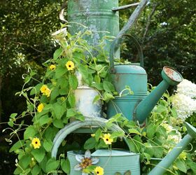 Cómo cultivar enredaderas con flores en tu jardín: 18 ideas