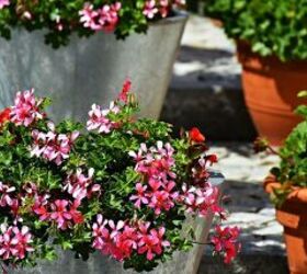 20 fantsticas formas de cultivar flores y dar vida a tu jardn, 19 Crea una llamativa jardinera para el porche