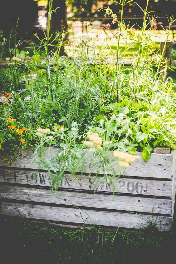 20 maneiras fantsticas de cultivar flores e dar vida ao seu jardim, Como criar um mini prado