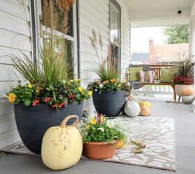 fall planters that will come back in the spring