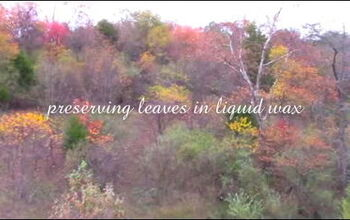 Cómo conservar las hojas de otoño en cera líquida fácilmente, una actualización