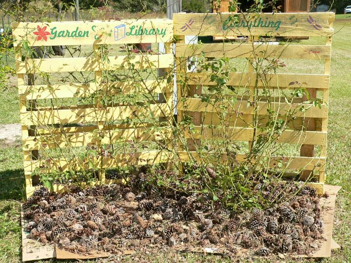 s grow roses, 13 Do Your Roses Need a Trellis