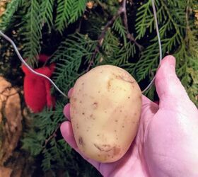 Stick a hanger through a potato for this ridiculously cute Christmas idea