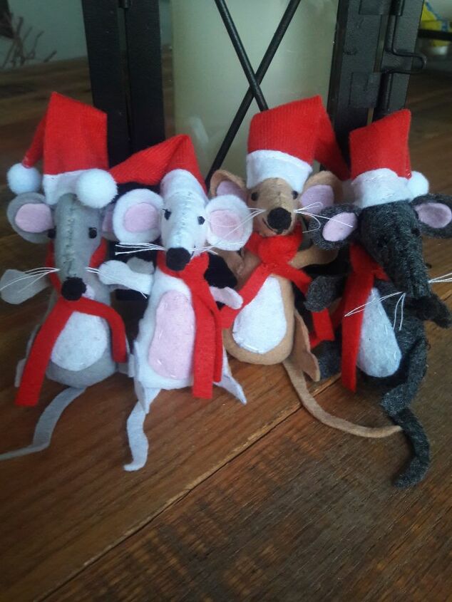 enfeites de natal para ratos, Meu grupo de ratos