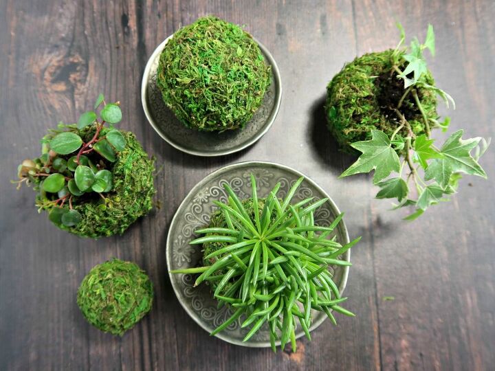 DIY Plant Stand Idea Indoor