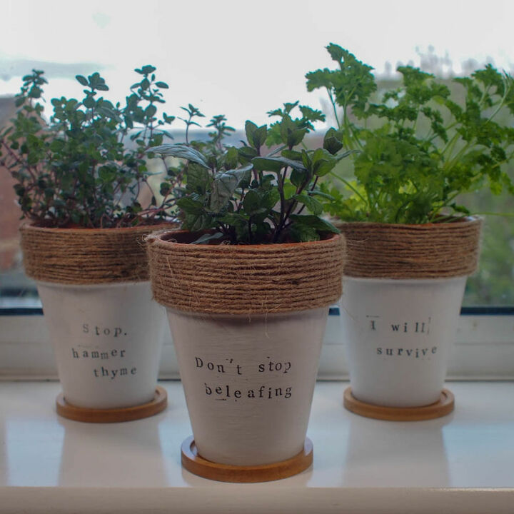 diy herb pots with puns from terracotta pots
