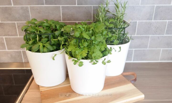 herb pot planters with chalkboard labels