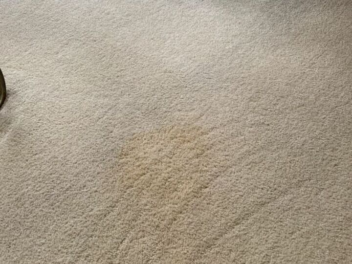q dried urine out of ivory carpet