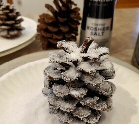 snow covered pine cones