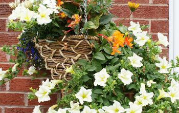 Cómo plantar cestas colgantes y macetas para el verano