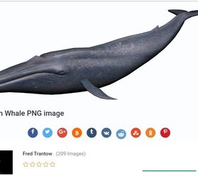 blue whale mosaic picture frame, Blue Whale Image
