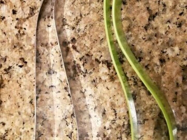 q what are these kitchen utensils called and used for