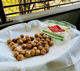 Use a bag of walnuts to catch your neighbors eye (in 30 minutes!)