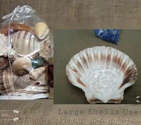 beachcombing treasures displayed in epoxy resin, Purchased Seashell Collection