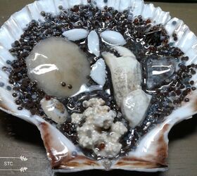 beachcombing treasures displayed in epoxy resin, Close up of Shell 2