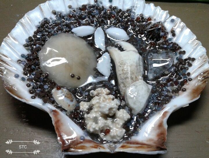 tesoros de la playa expuestos en resina epoxi, Primer plano de la concha 2