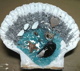 beachcombing treasures displayed in epoxy resin, Close up of Shell 1