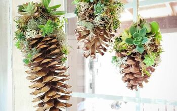 Winter Succulent Decor