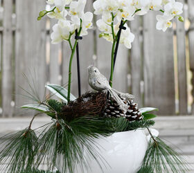 create a winter arrangement using a tropical plant