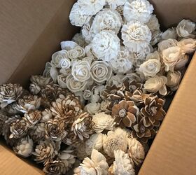 dying sola wood flowers