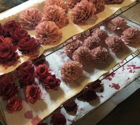 dying sola wood flowers