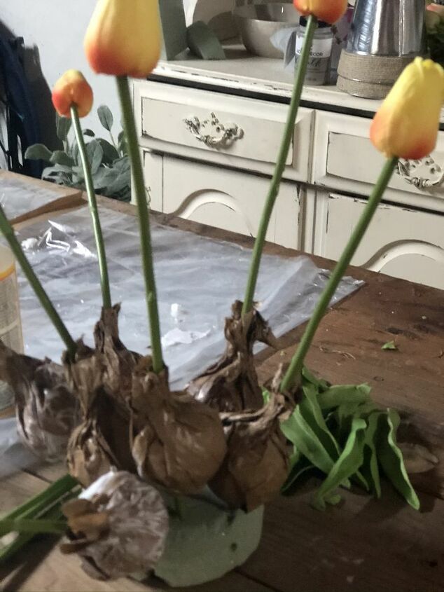 jardinera de bulbos de tulipn