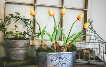 Tulip Bulb Planter