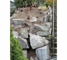 rockery wall redo, Early stage planting