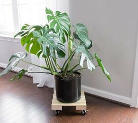 Smooth Rolling Plant Caddy