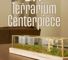 closed terrarium from glass centerpiece