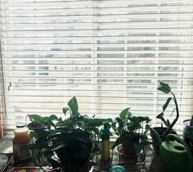 q what can i use for my indoor plants