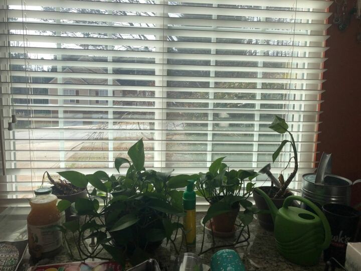 q what can i use for my indoor plants