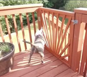 dog gate ideas for decks