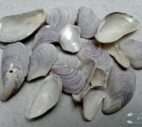 beluga momma s and babies created with beachcombed finds, Mussel Shells