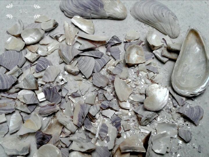 mosaicos de vidro do mar beb beluga e me, conchas quebradas