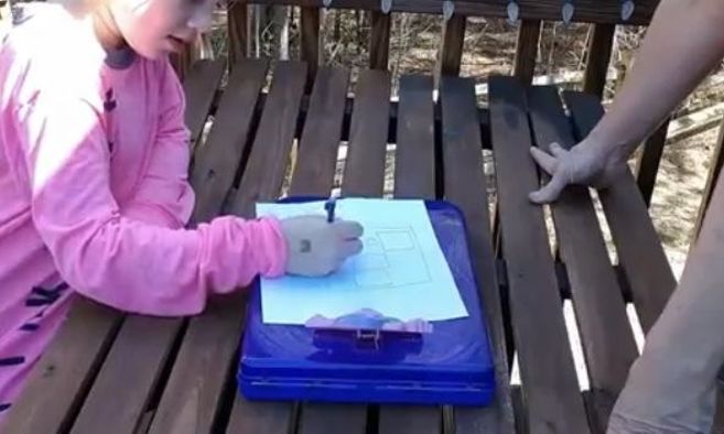 upcycle pallets to build an almost free vegetable and herb garden bed, Create a Sketch and Map Out Garden