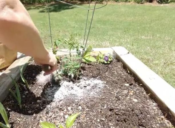upcycle pallets to build an almost free vegetable and herb garden bed, Care for and Enjoy New Garden Beds
