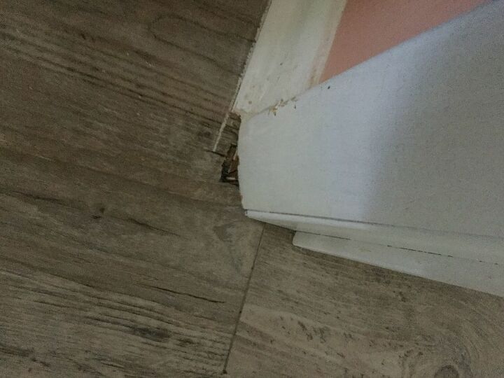 q help with trim work