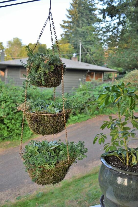 how to make a hanging succulent planter