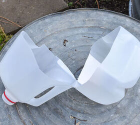 Use these last few chilly weeks to kick-start you best spring garden