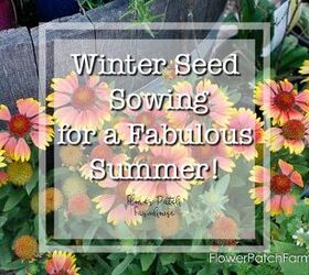winter sowing for a beautiful garden