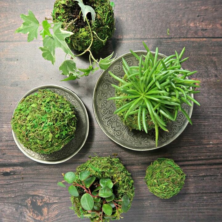 pretty as a picture succulent planter