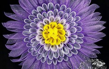 Deco Mesh Daisy Petal Flower Wreath Tutorial