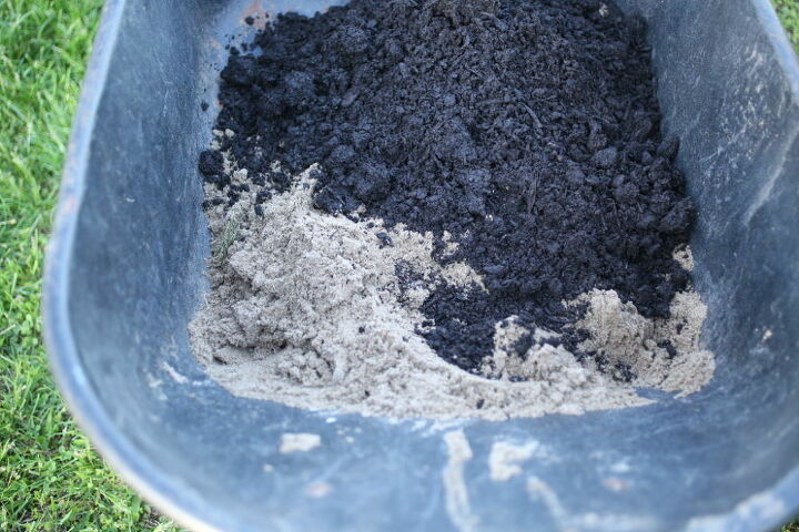 How to Plant Lavender in Containers DIY | Hometalk