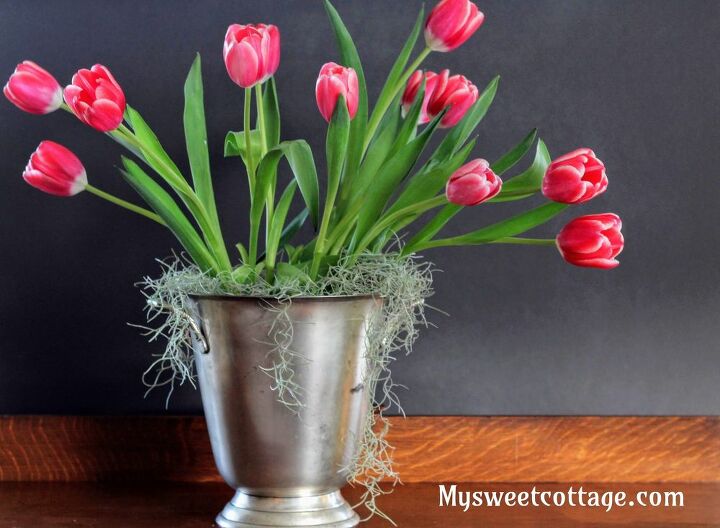 tulips in a champagne bucket