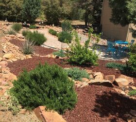 back yard makeover, View from top