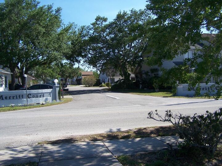 q hoa entrance cypress trees help trim or remove