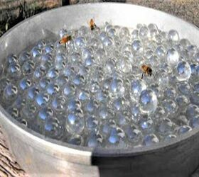 make a bee waterer